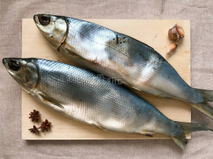 Белый амур холодного копчения: Сиг вяленый